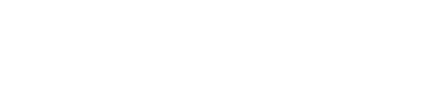 Leadinfo
